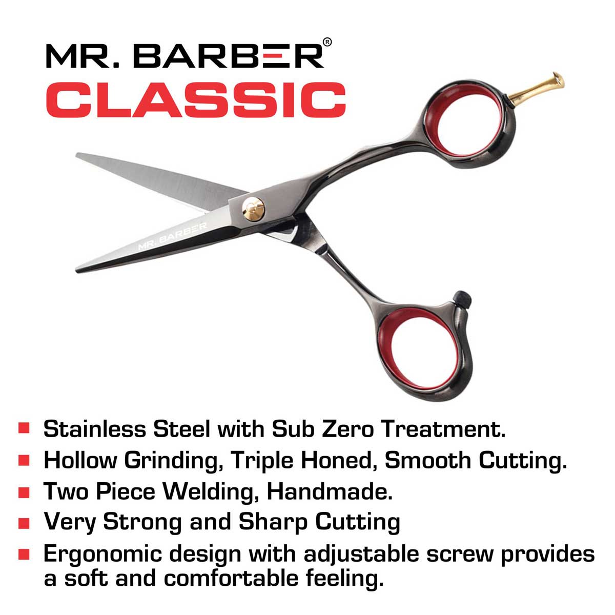 Mr Barber Titanium Edge Series 5.5 inch (14 cm), Stainless Steel Professional Hair Cutting Scissors -Silver Ergonomic Design - 1 Piece