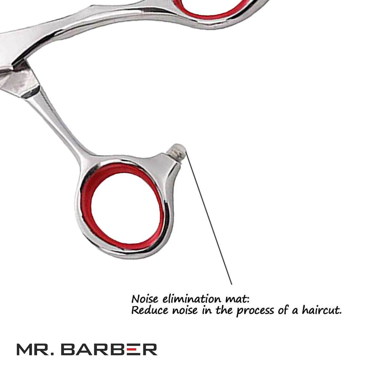 Mr Barber Titanium Edge Series 5.5 inch (14 cm), Stainless Steel Professional Hair Cutting Scissors -Silver Ergonomic Design - 1 Piece